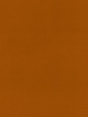 Rae Terracotta Roller Blind