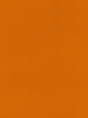 Rae Orange Roller Blind