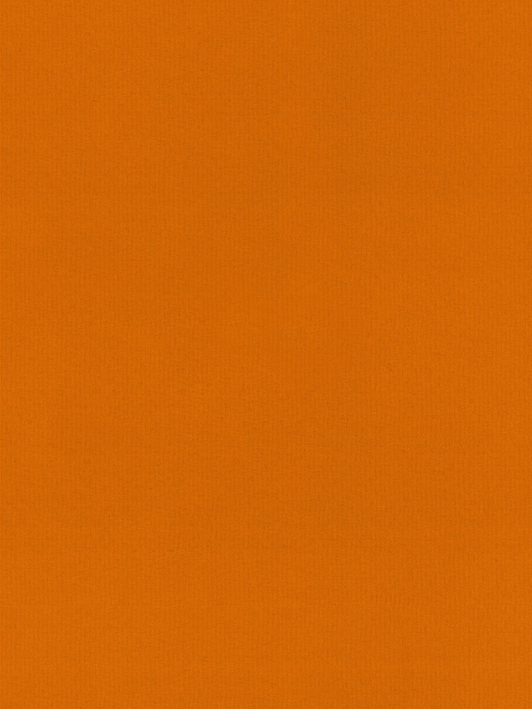 Rae Orange Roller Blind Rae Orange Roller Blind