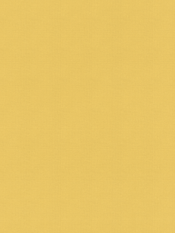 Rae Lemon Roller Blind Rae Lemon Roller Blind