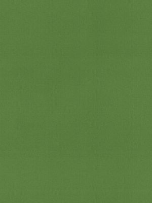 Rae Sage Roller Blind