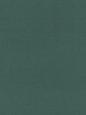 Rae Spruce Roller Blind