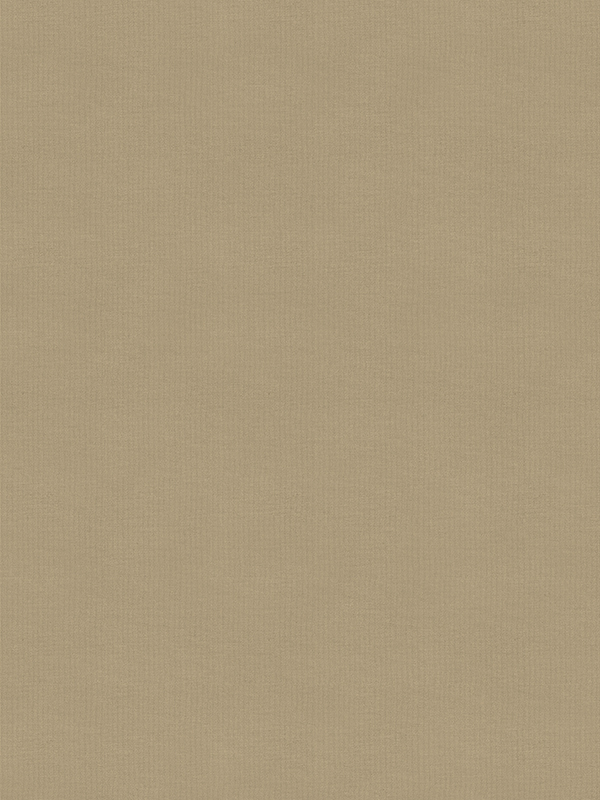 Maitlin Stone Roller Blind Maitlin Stone Roller Blind