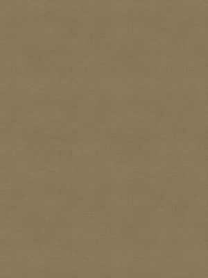 Maitlin Wheat Roller Blind