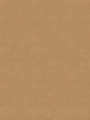 Maitlin Tan Roller Blind