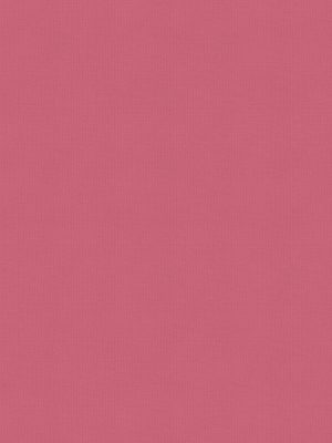 Maitlin Sorbet Roller Blind