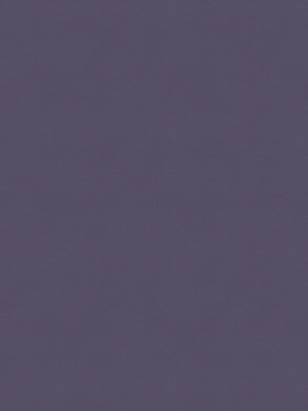 Maitlin Plum Roller Blind Maitlin Plum Roller Blind