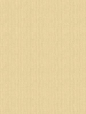 Balance Buff Roller Blind