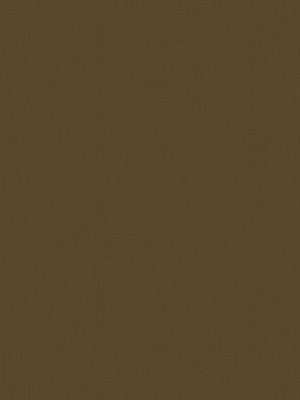 Balance Sandalwood Roller Blind