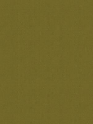 Balance Moss Roller Blind