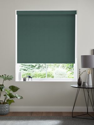 Balance Peacock Roller Blind