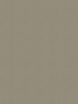 Balance Dusky Roller Blind