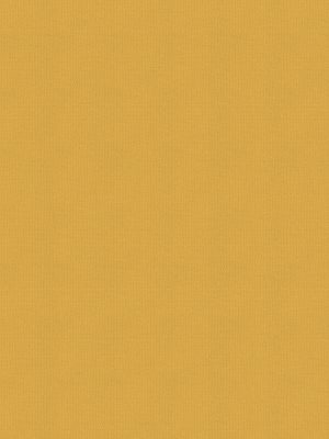 Balance Buttercup Roller Blind