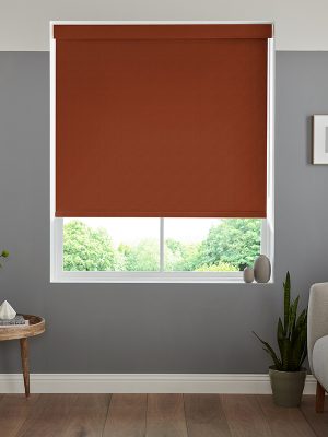 Balance Ladybird Roller Blind