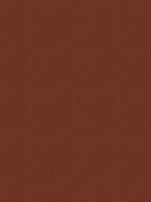 Balance Ladybird Roller Blind