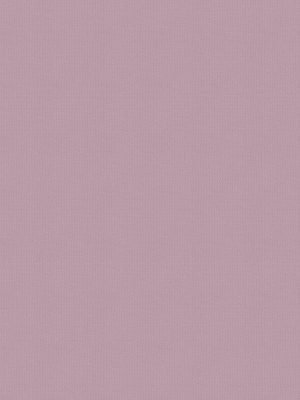 Balance Blush Roller Blind