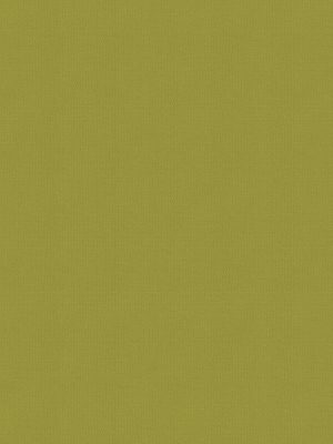 Balance Zest Roller Blind
