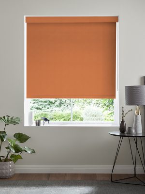 Balance Coral Roller Blind