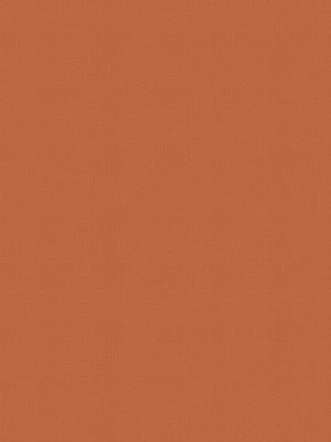 Balance Coral Roller Blind