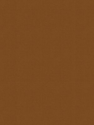 Balance Ginger Roller Blind