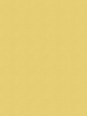 Balance Daffodil Roller Blind