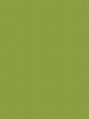 Balance Grass Roller Blind