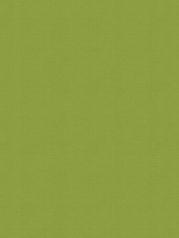 Balance Grass Roller Blind Balance Grass Roller Blind