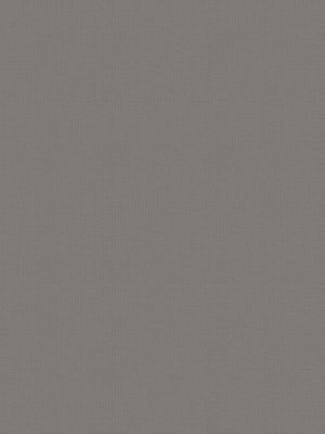 Balance Thunder Roller Blind
