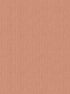 Balance Peach Roller Blind