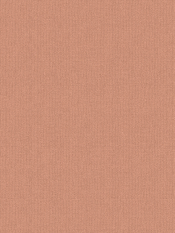 Balance Peach Roller Blind Balance Peach Roller Blind