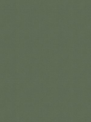 Balance Eucalyptus Roller Blind
