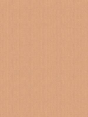 Balance Plaster Roller Blind