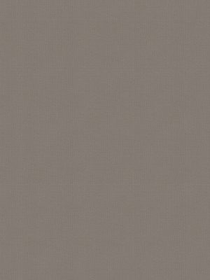 Balance Dolphin Roller Blind