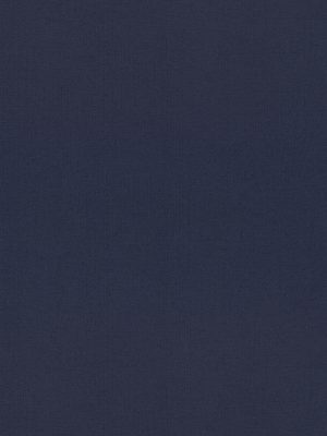 Lennie Navy Roller Blind
