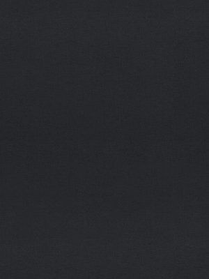 Lennie Black  Roller Blind