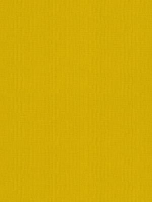 Lennie Luna  Roller Blind
