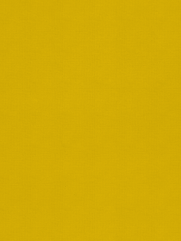 Lennie Luna Roller Blind Lennie Luna Roller Blind