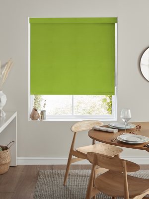 Lennie Kiwi Roller Blind