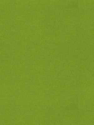 Lennie Kiwi Roller Blind