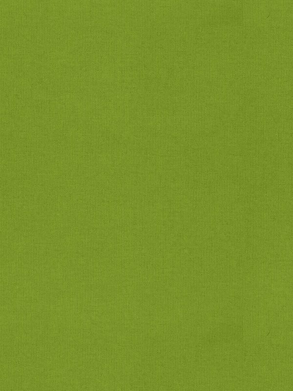 Lennie Kiwi Roller Blind Lennie Kiwi Roller Blind