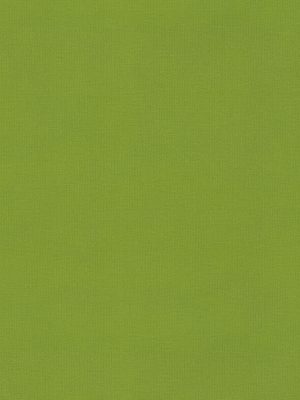 Orlando Kiwi Roller Blind