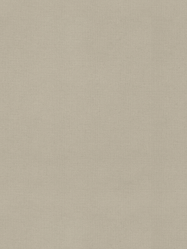 Lennie Beige Roller Blind Lennie Beige Roller Blind