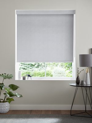 Lennie Dove  Roller Blind
