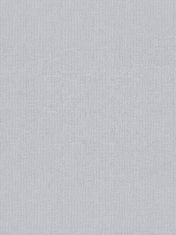 Lennie Dove Roller Blind Lennie Dove Roller Blind