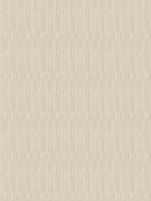 Riya Cream Vertical Blind