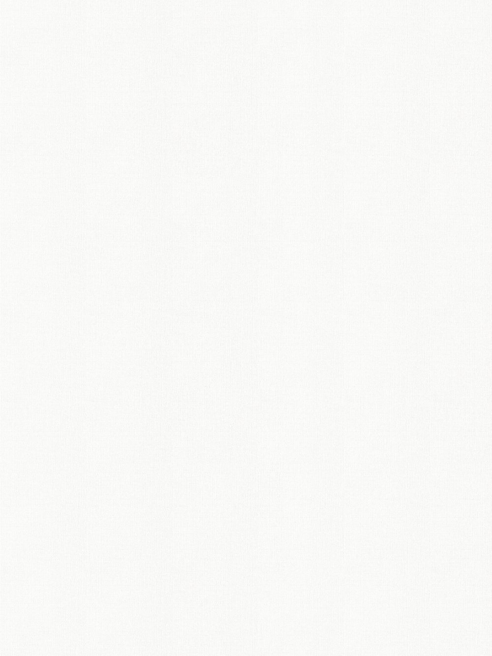 Lewis Ivory Vertical Blind