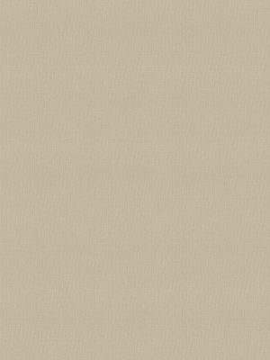 Lewis Beige Vertical Blind
