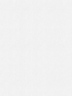 Style White Vertical Blind
