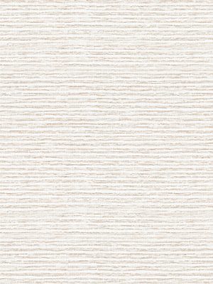 Style Beige Vertical Blind