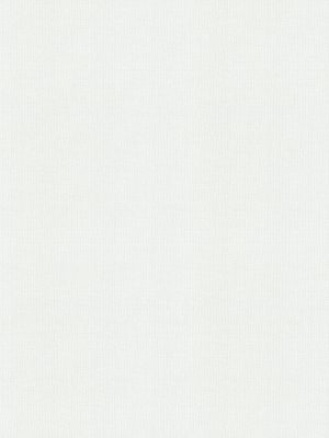Focal  White Vertical Blind